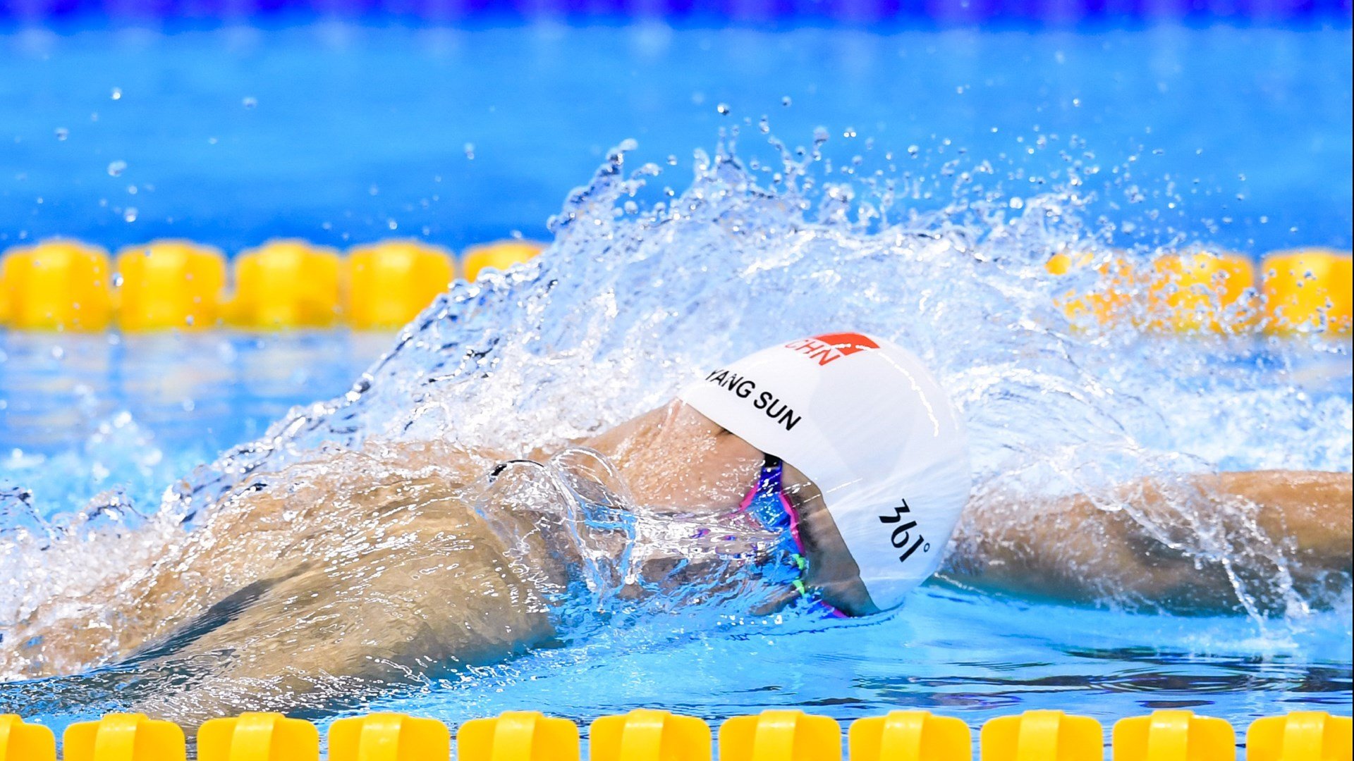 体育新闻中心联动校园体育，校园体育文化节新闻稿600字